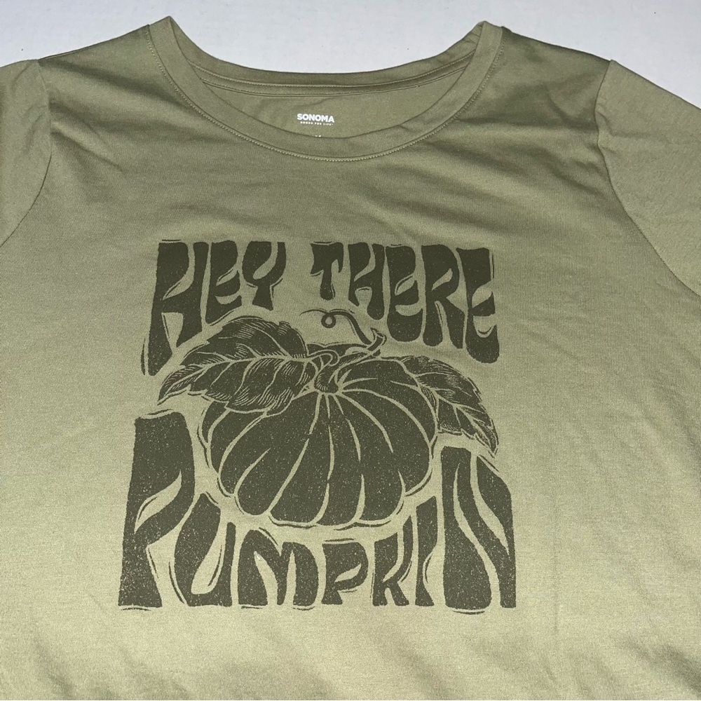 SonomaGoods For Life Hey‎ There Pumpkin Graphic Fall Short Sleeve Graphic Tee 1X